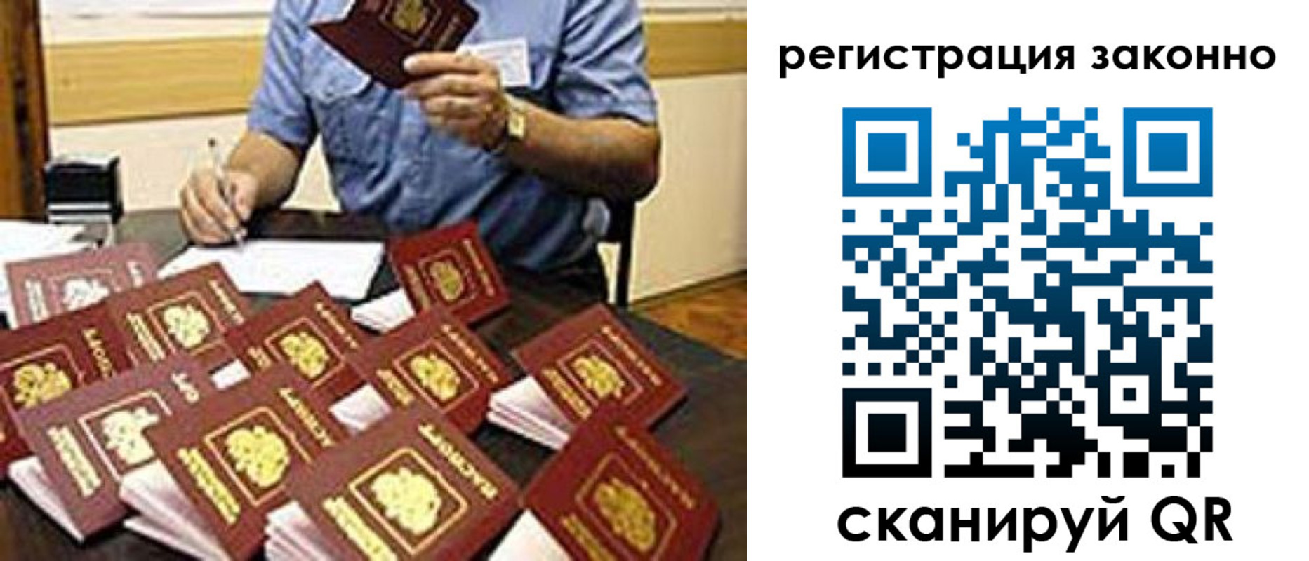 временная регистрация поиск в Светлогорске